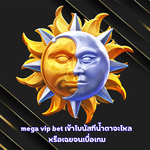 mega vip bet