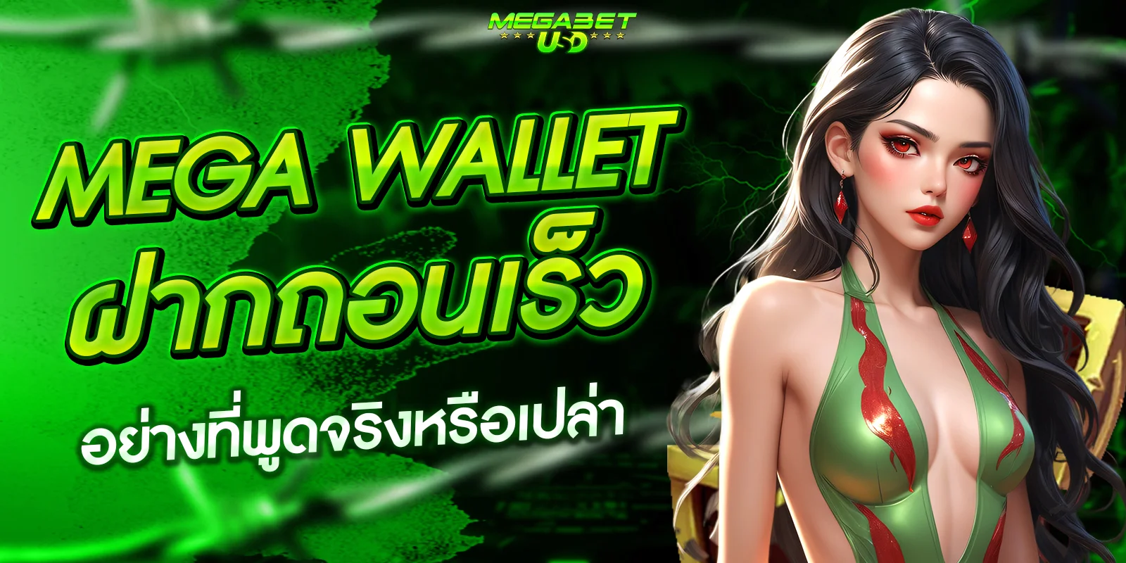 mega wallet